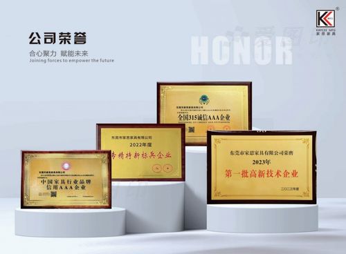 广东知名品牌 家思 一体化服务的家居典范